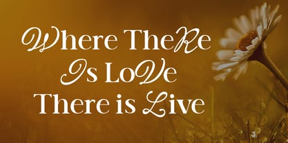 Milano Font Display Font Poster 3