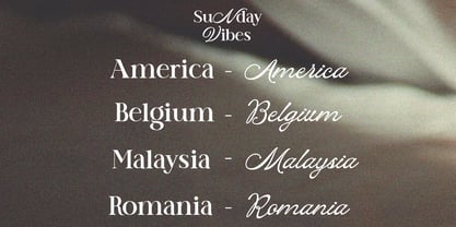 Milano Font Display Font Poster 7