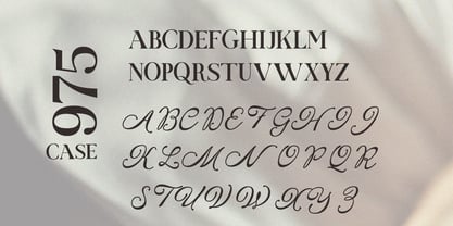 Milano Font Display Font Poster 8
