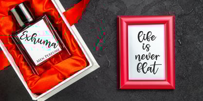 Crabfish Font Poster 4