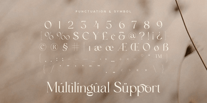 Claudia Font Poster 12