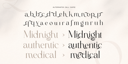 Claudia Font Poster 10