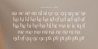 Claudia Font Poster 9