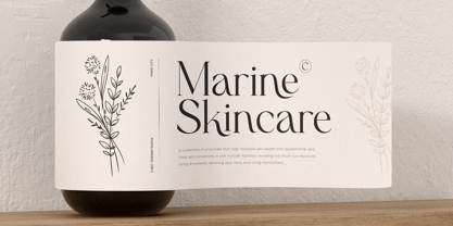 Claudia Font Poster 7