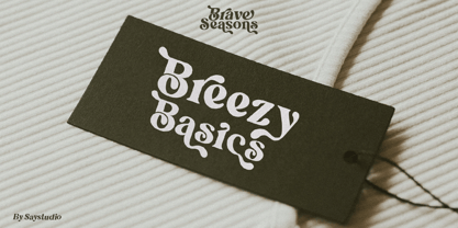 Brave Seasons Font Poster 10