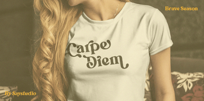 Brave Seasons Font Poster 5