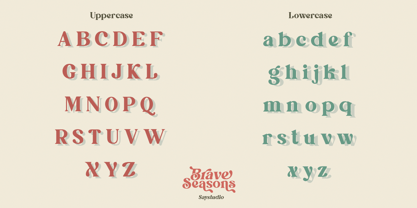 Brave Seasons Font Poster 11