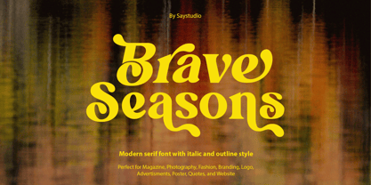 Brave Seasons Font Poster 1