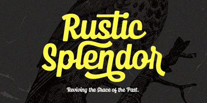 Sunday Ballerina Font Poster 5