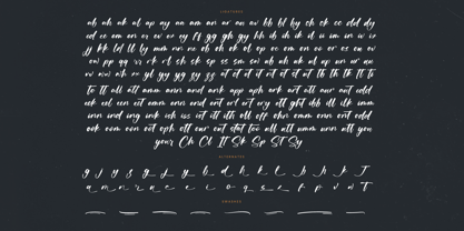 Actively Font Poster 15