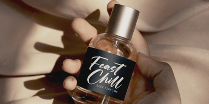 Actively Font Poster 12