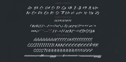 Actively Font Poster 14