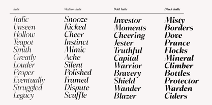 Bigdora Font Poster 9