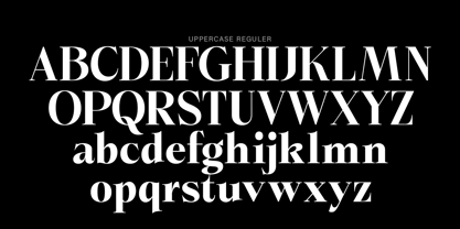 Bigdora Font Poster 13