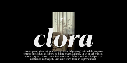 Bigdora Font Poster 5