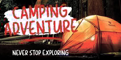 Dibrush Font Poster 3