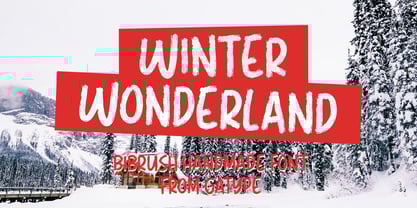 Dibrush Font Poster 4