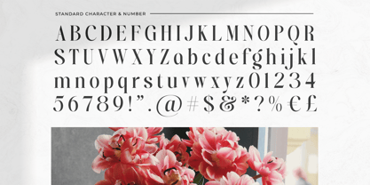 Bridens Font Poster 9