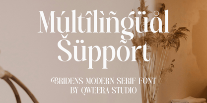 Bridens Font Poster 8