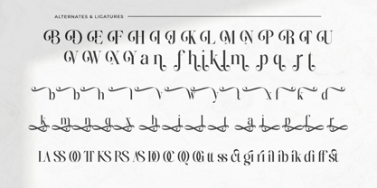 Bridens Font Poster 10