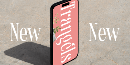 Trangels Font Poster 4