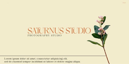 Sokuna Font Poster 9