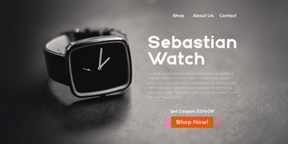 Aginoe Sans Font Poster 4