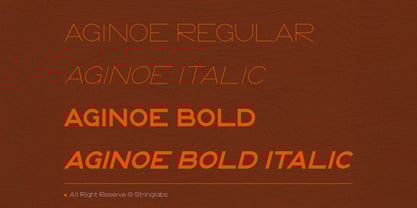 Aginoe Sans Font Poster 6