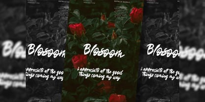 Saftoesa Font Poster 11