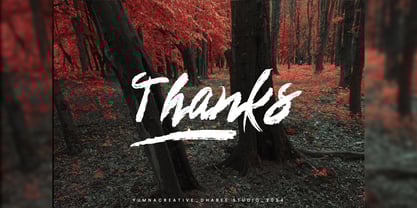 Saftoesa Font Poster 2