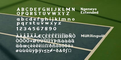 Ngeneyo Font Poster 9