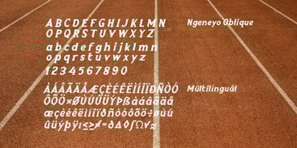 Ngeneyo Font Poster 8