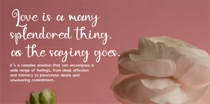 CF Boldique Script Font Poster 10