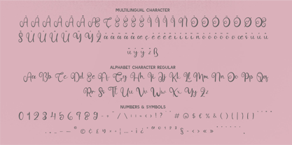 CF Boldique Script Font Poster 8