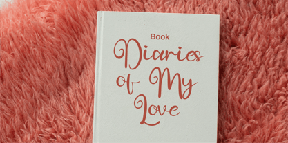 CF Boldique Script Font Poster 5