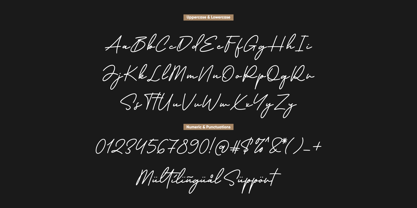 Californian Signature Font Poster 8