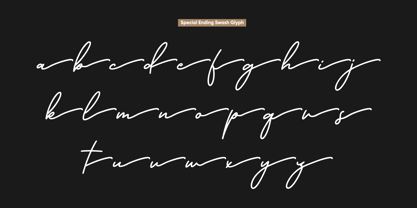 Californian Signature Font Poster 10