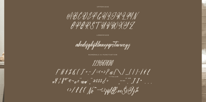 Molastica Font Poster 7