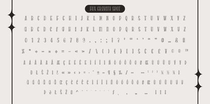 Fox Gravity Font Poster 10