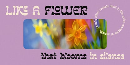 Bukaron Font Poster 6