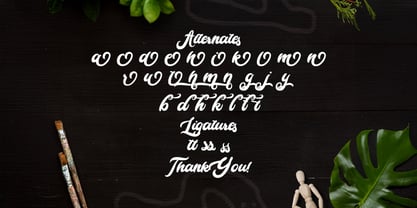 Cameliya Font Poster 8