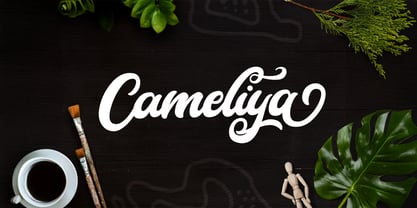 Cameliya Font Poster 1