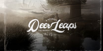 Cameliya Font Poster 6