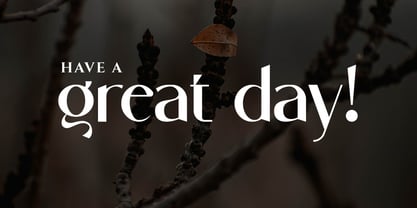 Sttacher Font Poster 10