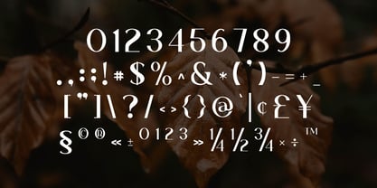 Sttacher Font Poster 9