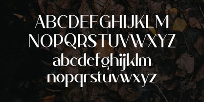 Sttacher Font Poster 2