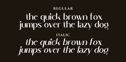 Sttacher Font Poster 6