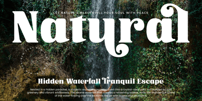 Trade Signal Font Poster 10