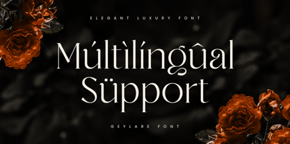 Geylare Font Poster 12