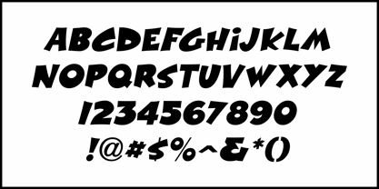 Wild Time JNL Font Poster 5